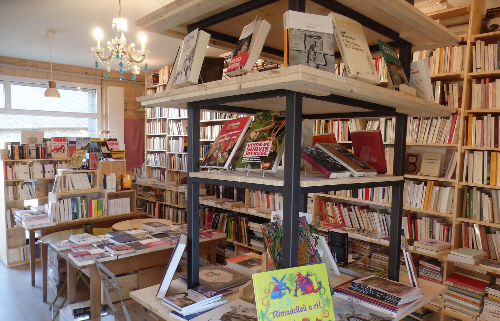 librairie-2