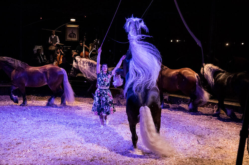 Grand spectacle de Noël au Haras d'Hennebont