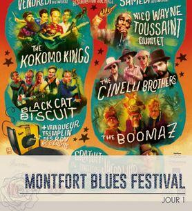 montfort blues festival