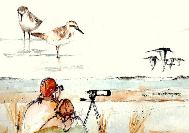 ornitho - Tounnature