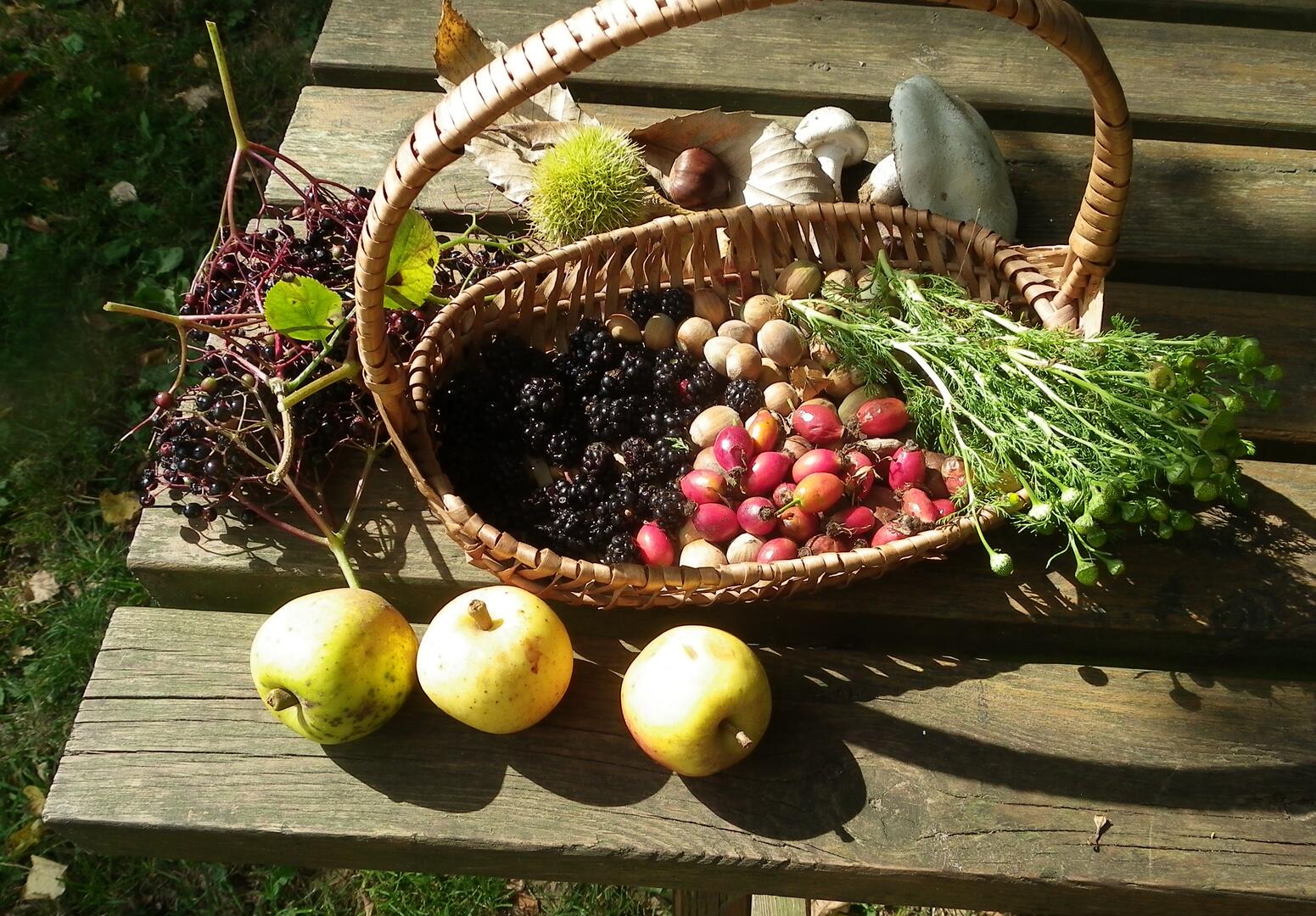 panier cueillette d'automne