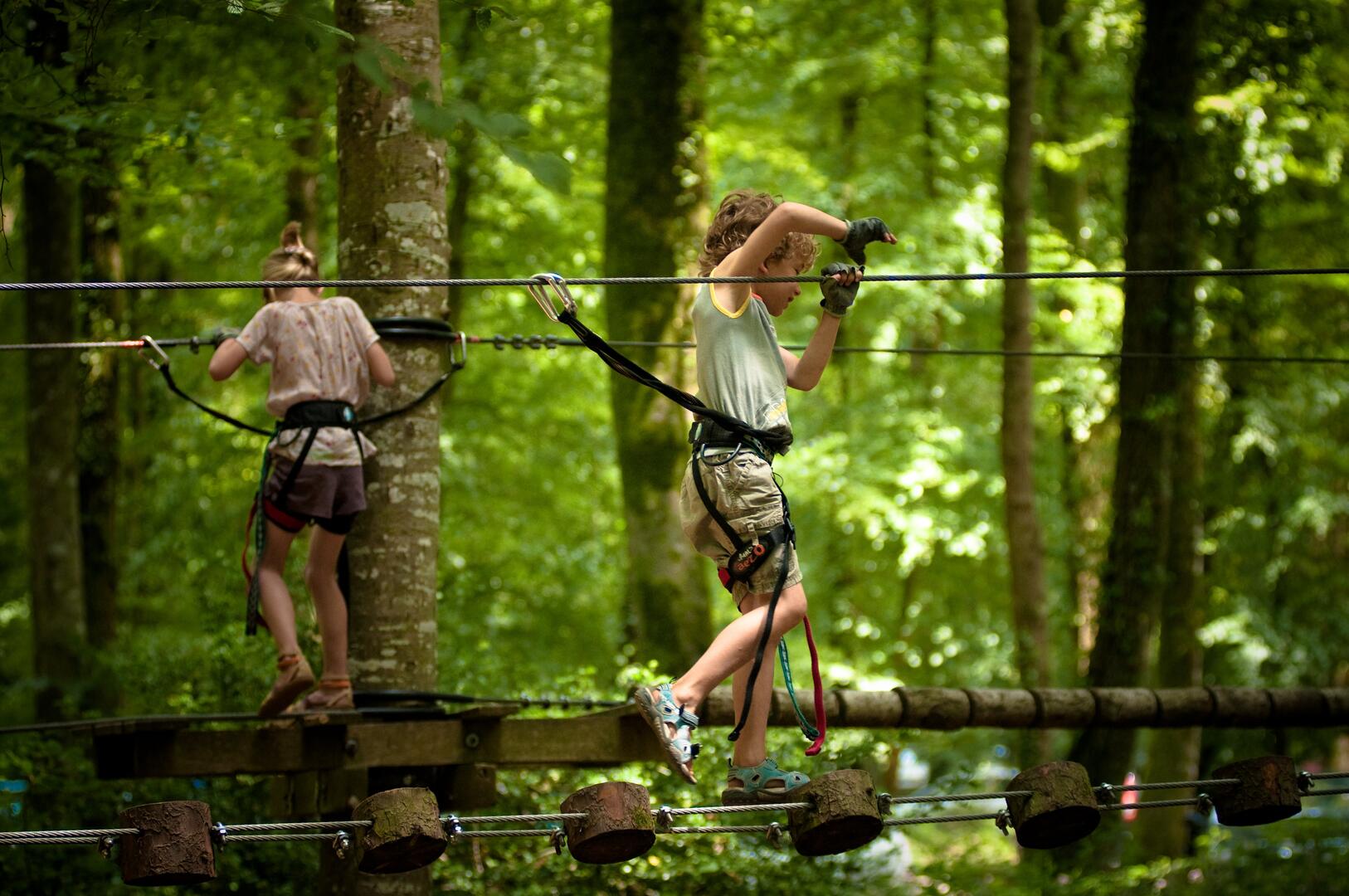 parc-des-grands-chenes-foret-villecartier