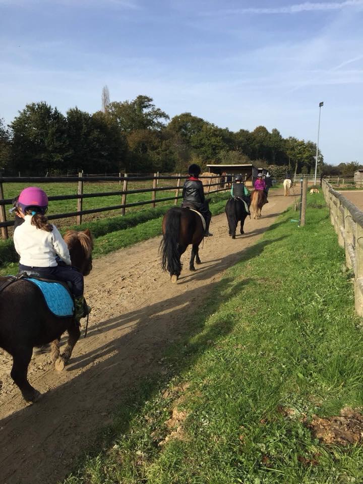 poneys-cook