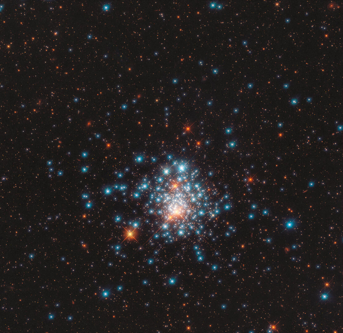 potw2036a_web