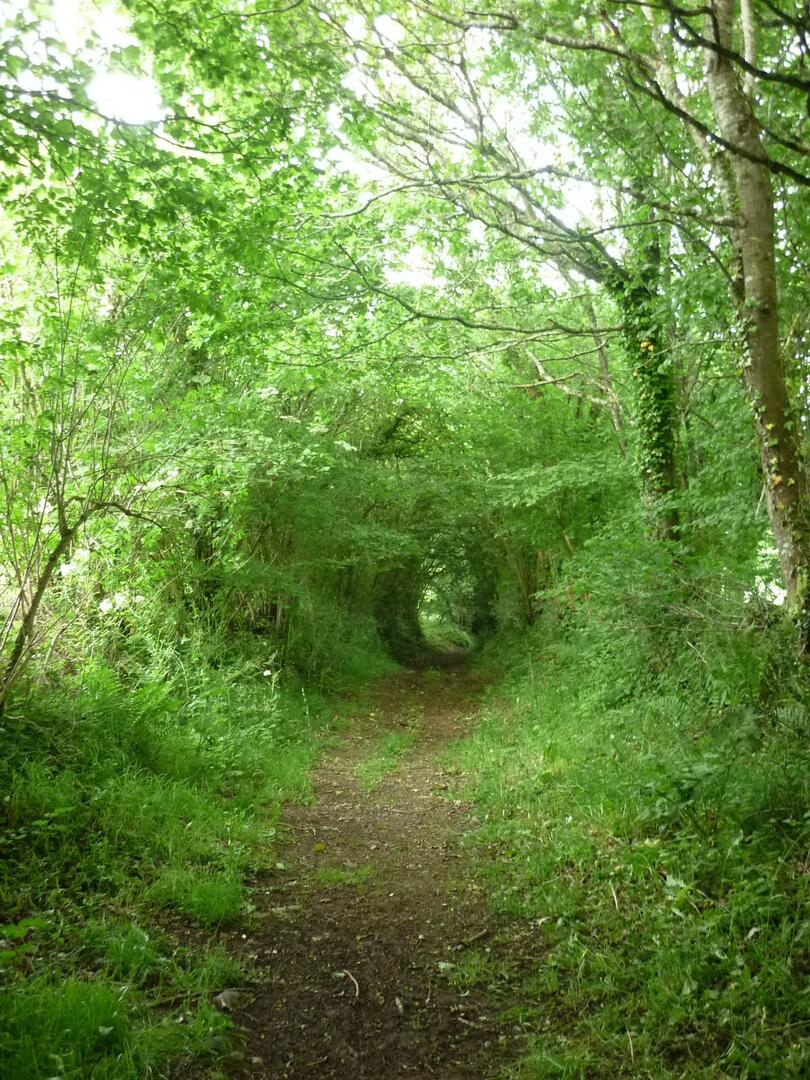 plounevez-moedec-chemin-st-jeune-gl