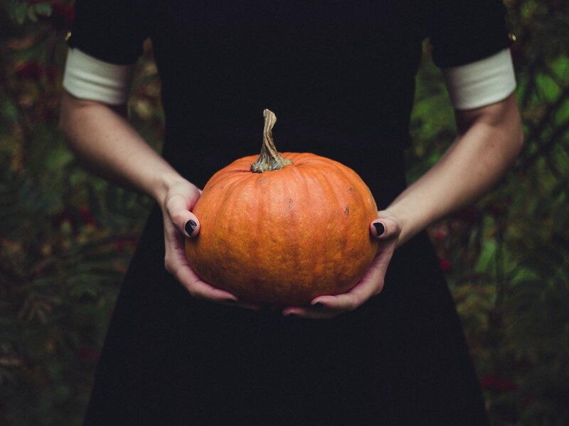 pumpkin-1838545_1280 (1)