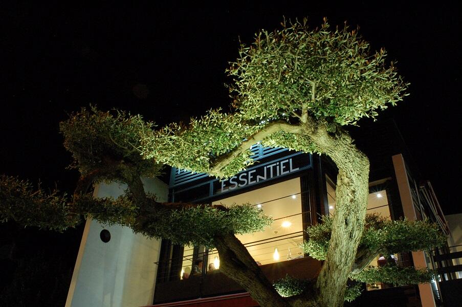 Essentiel - Rennes