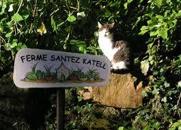 santez