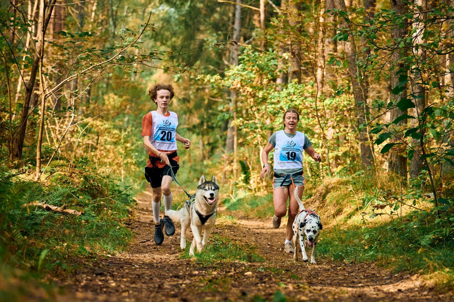 shutterstock_cani-cross