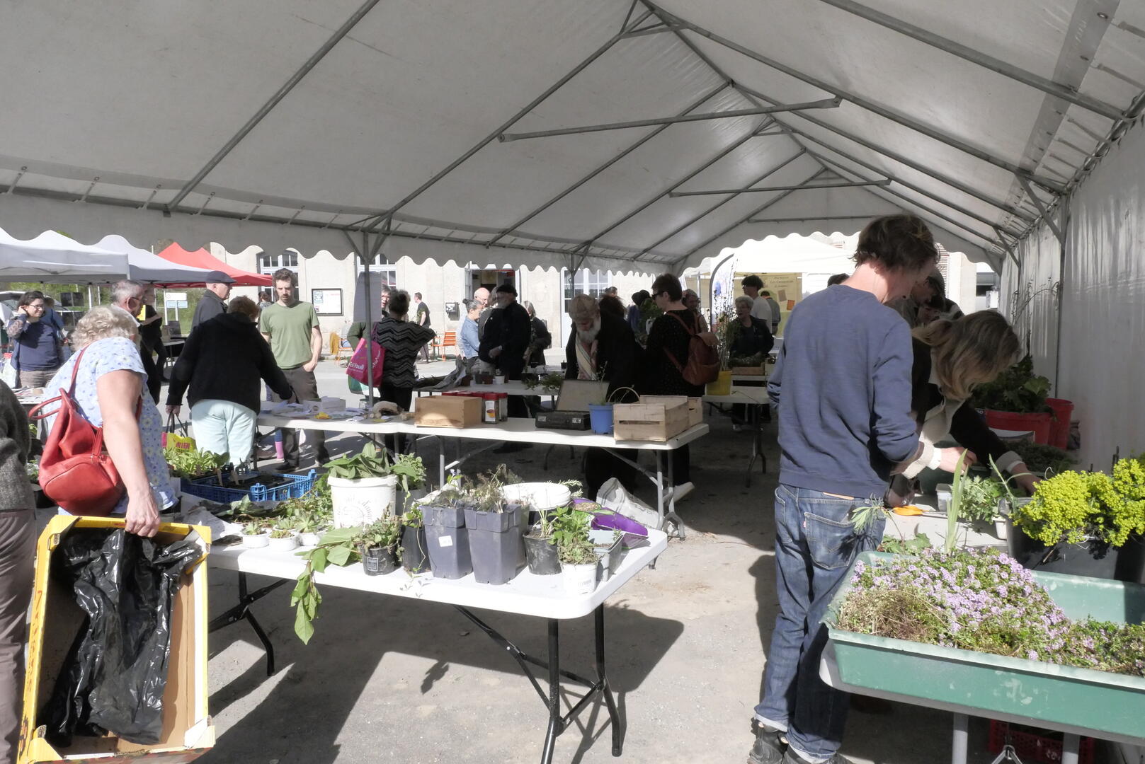 Troc aux plantes Felletin