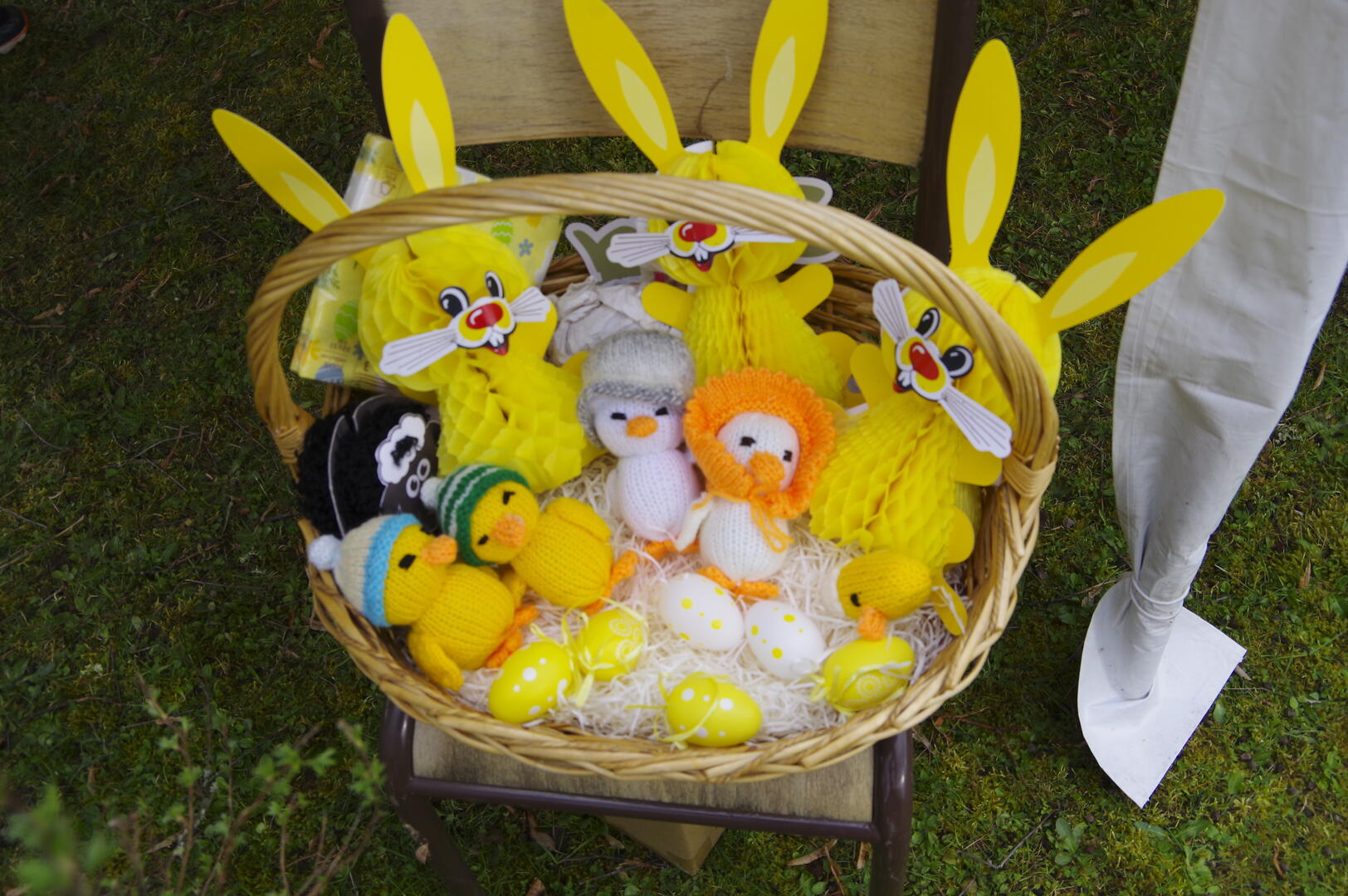 Un beau panier d'oeuf