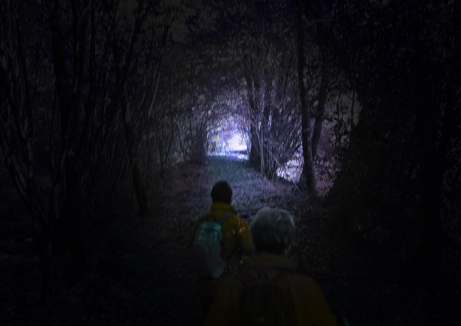 Rando nocturne des étangs de la Cazine_1