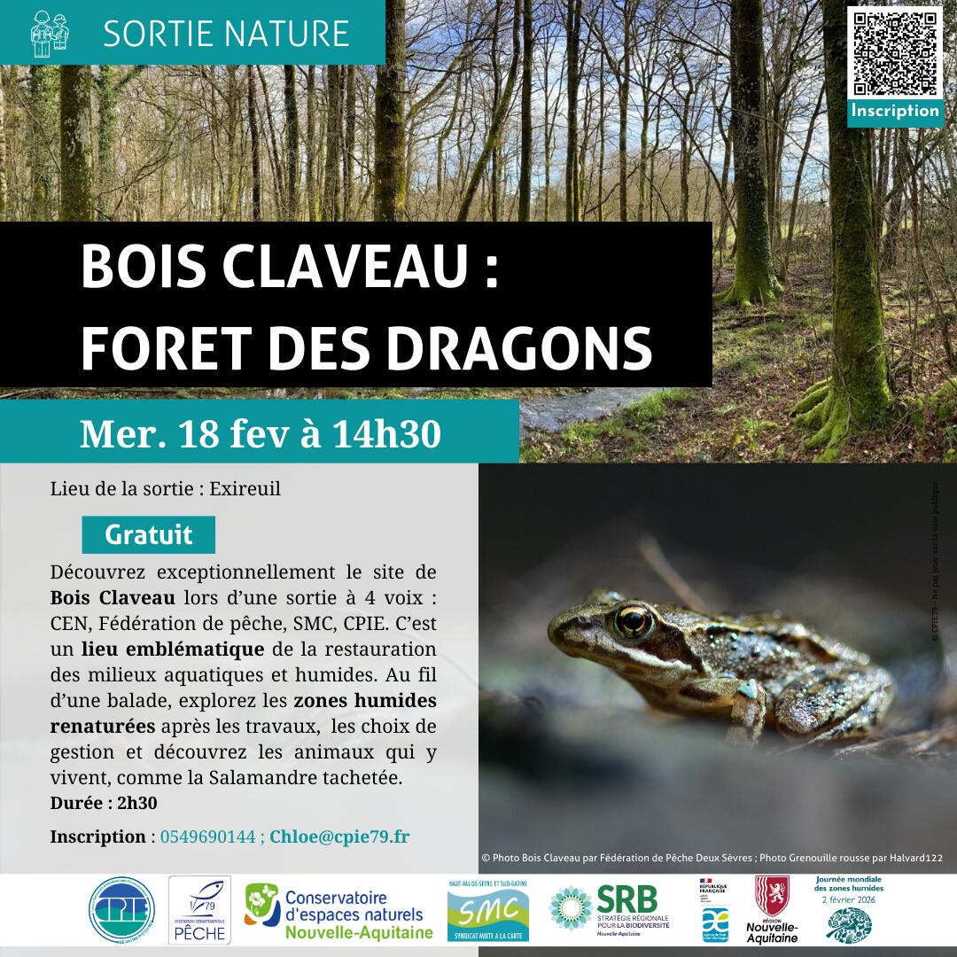 18.02.2026 Bois Claveau
