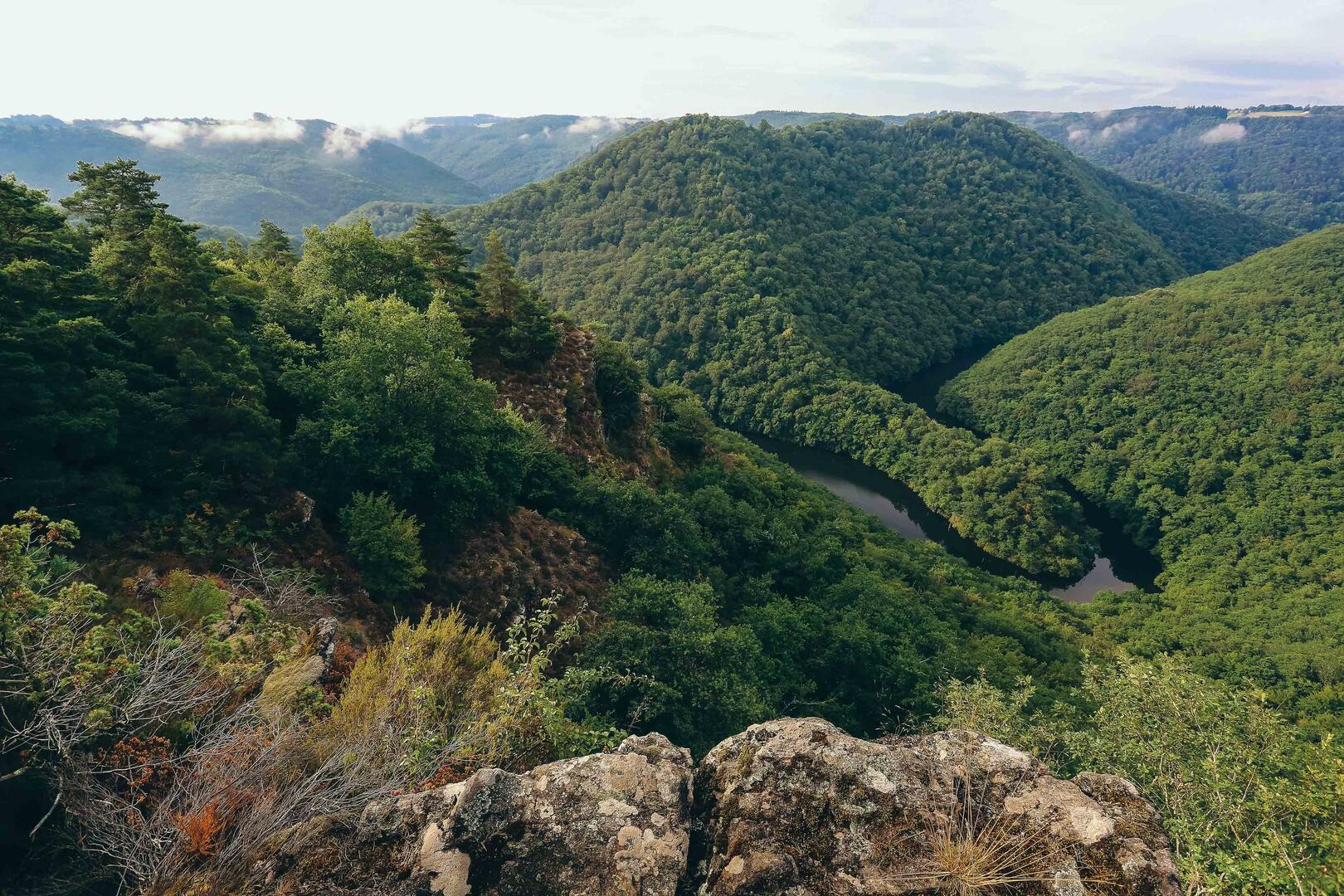 Observation des rapaces au belvédère de l'Echamel_1