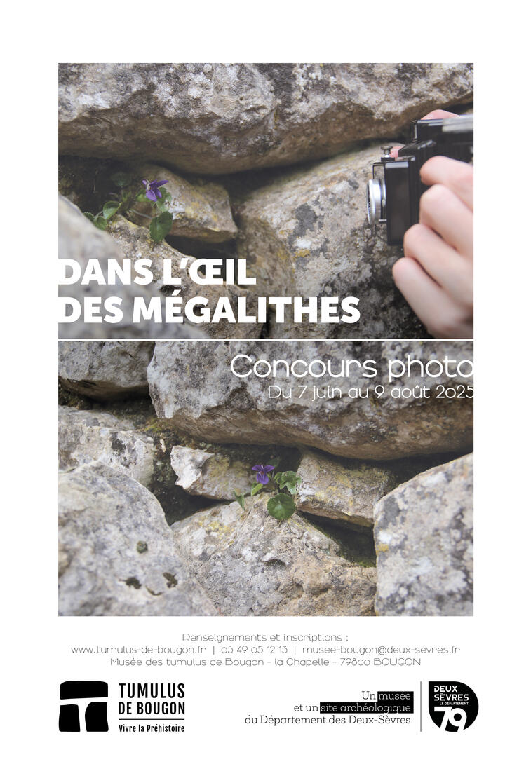 Concours photo_Dans l'oeil des mégalithes