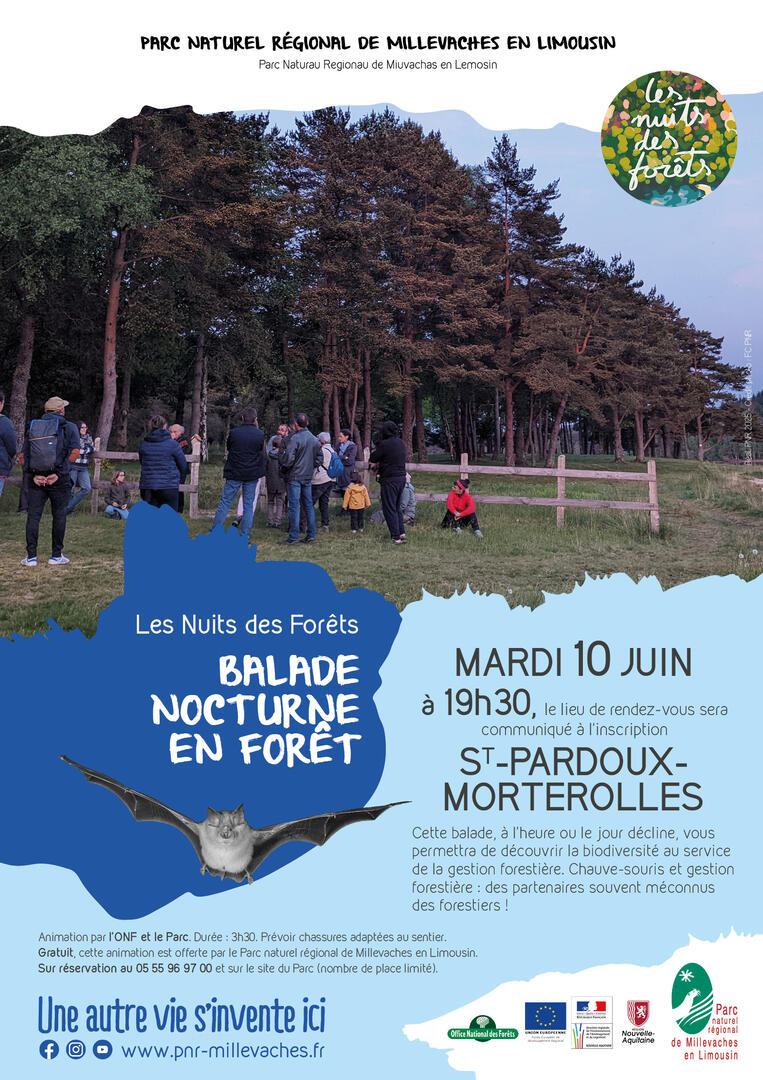 20250610_INT_ST PARDOUX M_Nuits des Forets_Balade