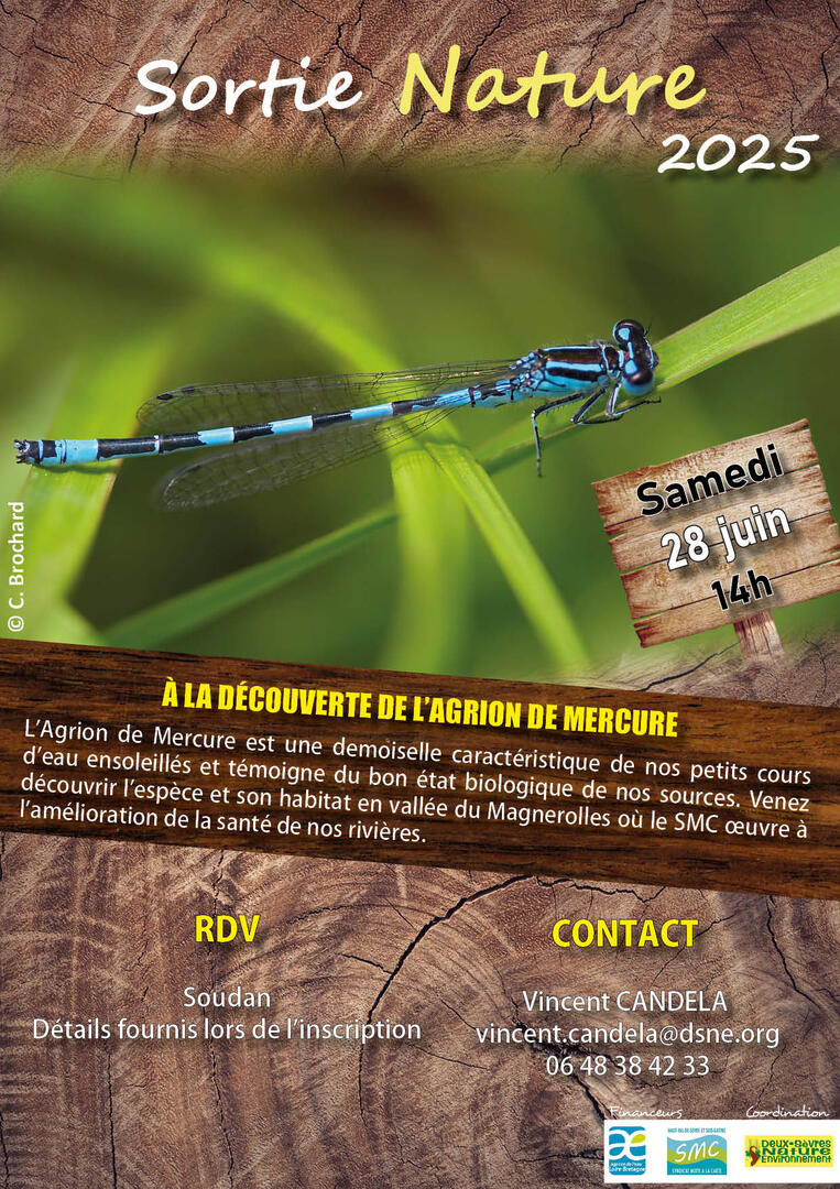 À la découverte de l'Agrion de Mercure