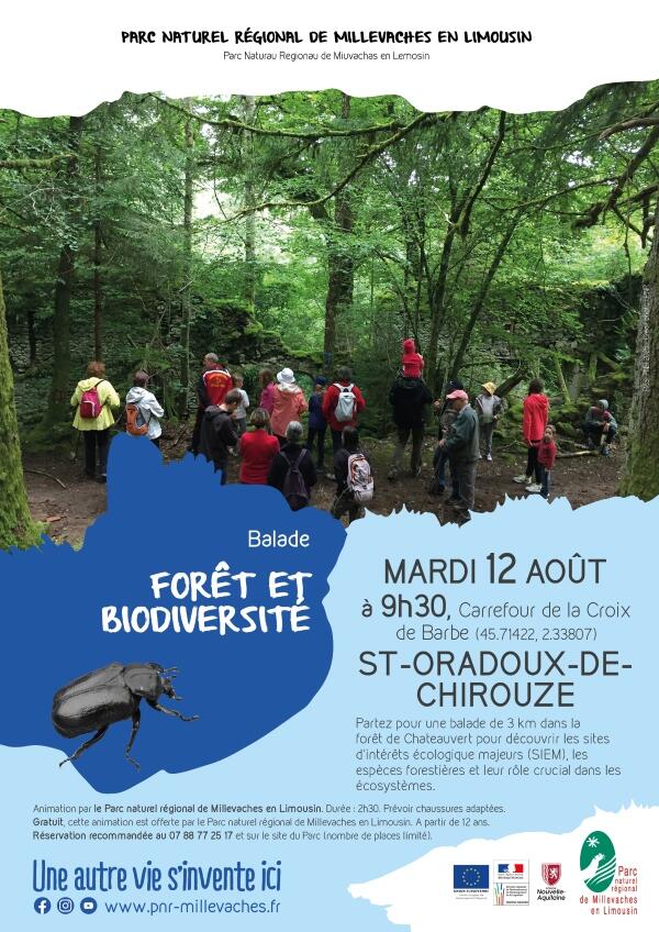 20250812_INT_ST O CHIROUZE_forêt_web