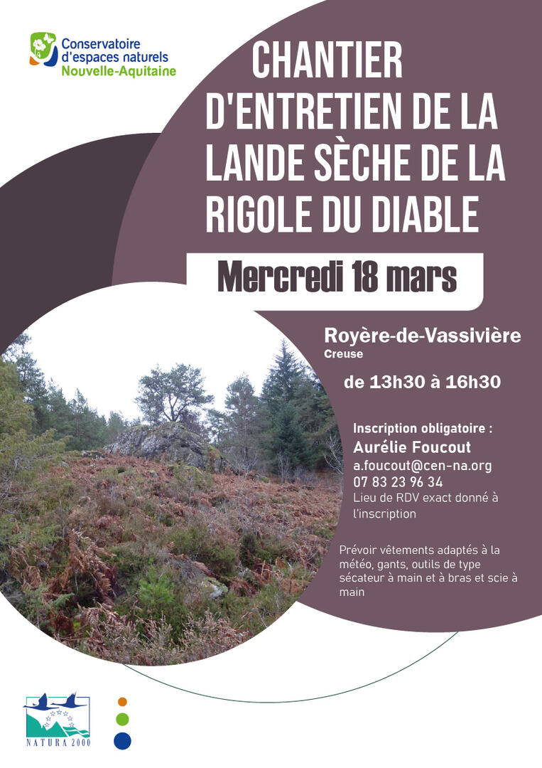 2026_03_18_royere_23