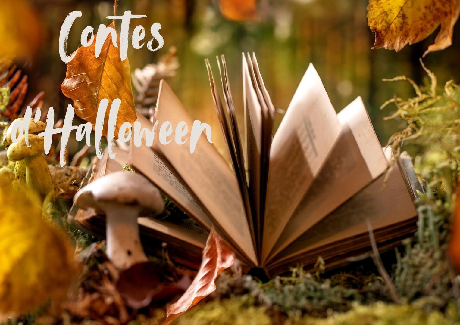 Contes