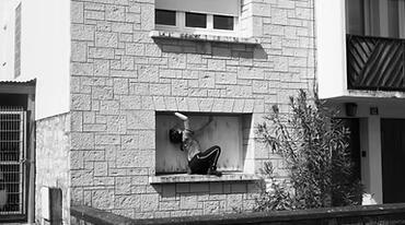 Chiendent et Brèches