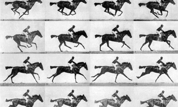 Exposition aux origines du cinéma p14