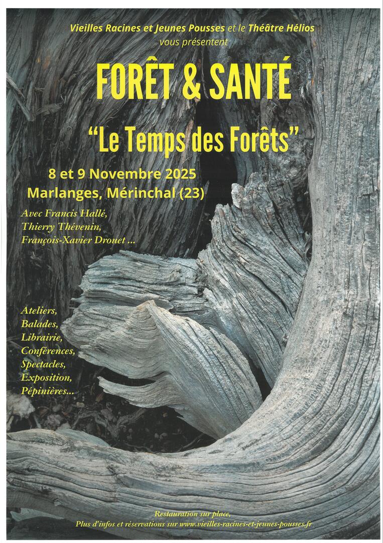 FORET ET SANTE