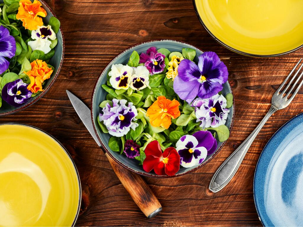 Fleurs et plantes comestibles