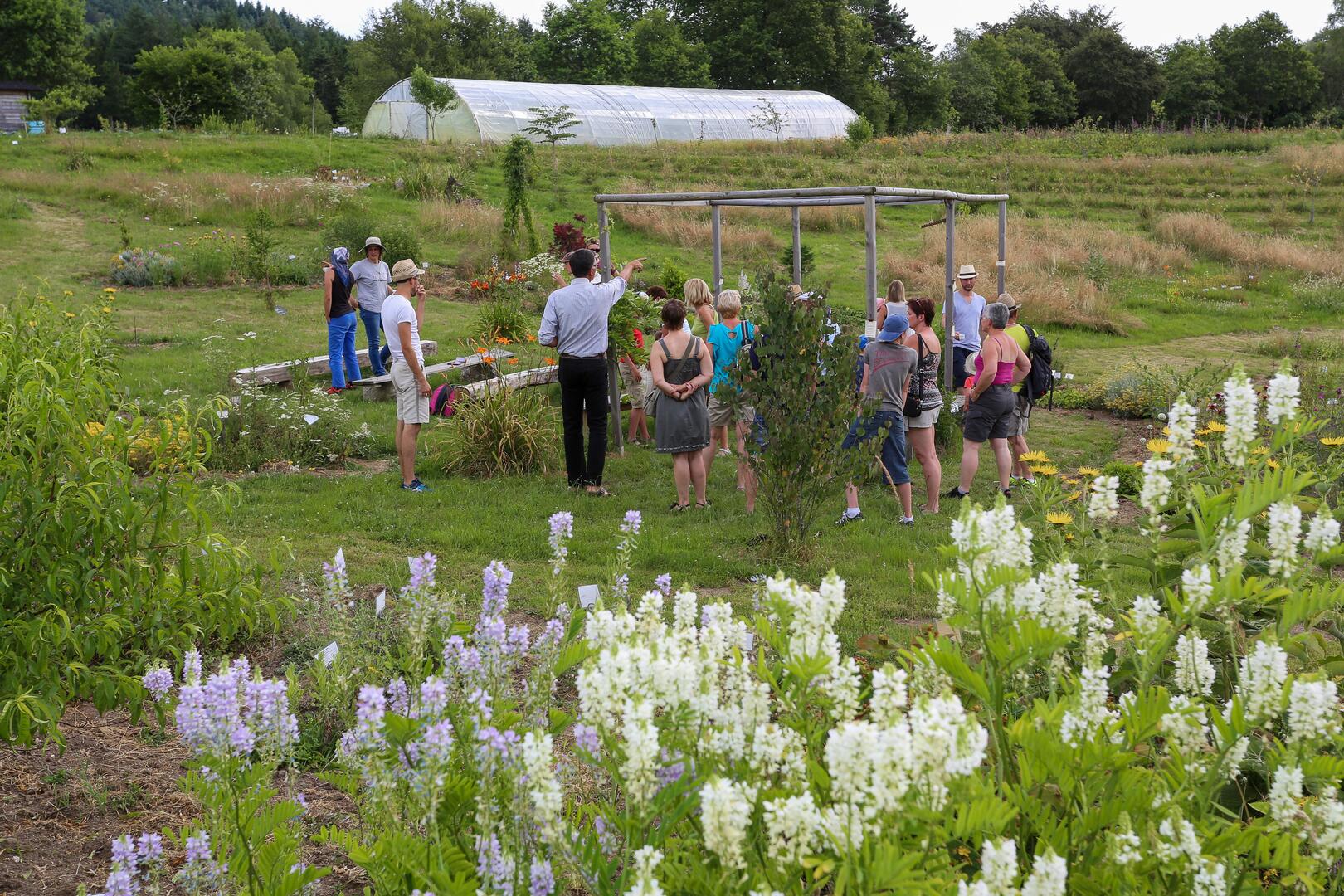 Jardin_du_centaure_Saint_yrieix_le_dejalat-2016 (3)