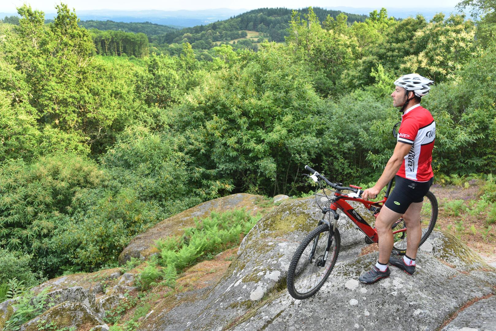 La Roche Guéry à St Goussaud-Creuse-dépt.23