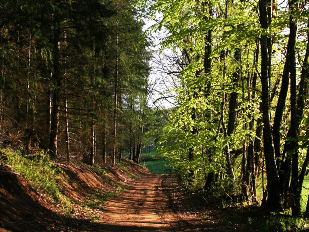 Le vallon du Trakloup