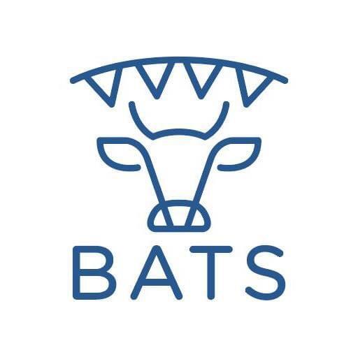 Logo CDF Bats
