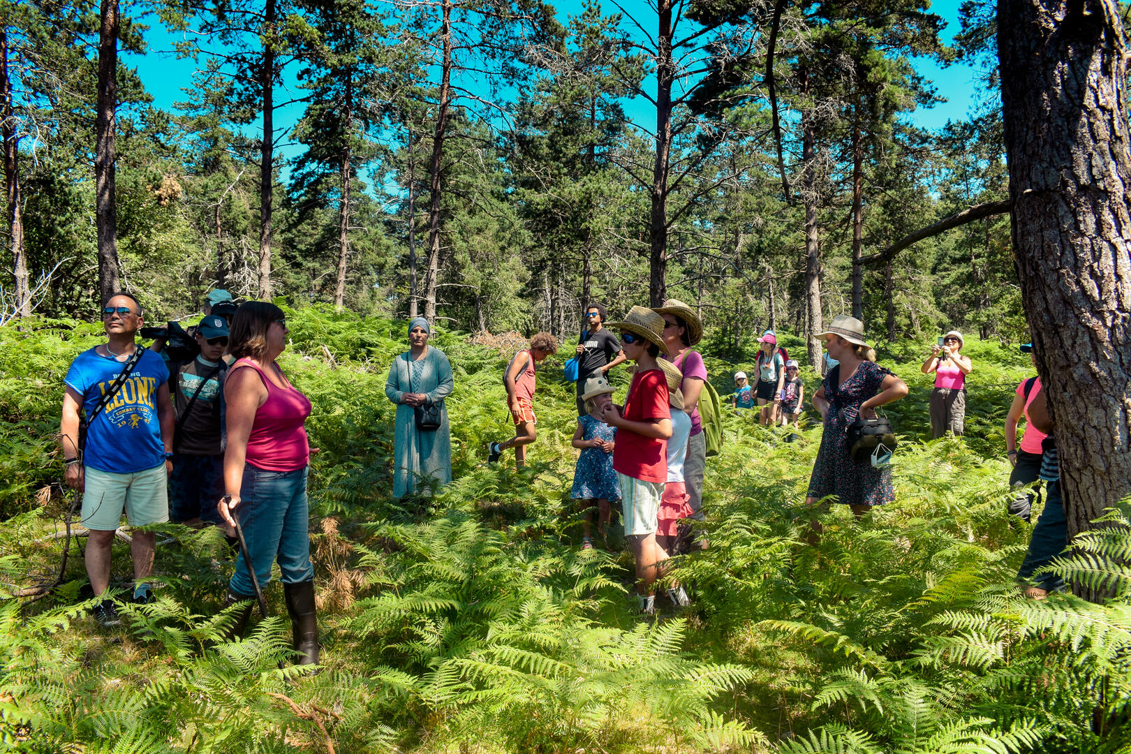 MDM-30072020-Highland (4)