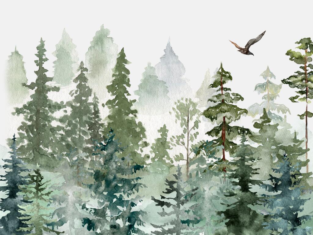 Visite guidée sur l'exploitation des sapins de noël