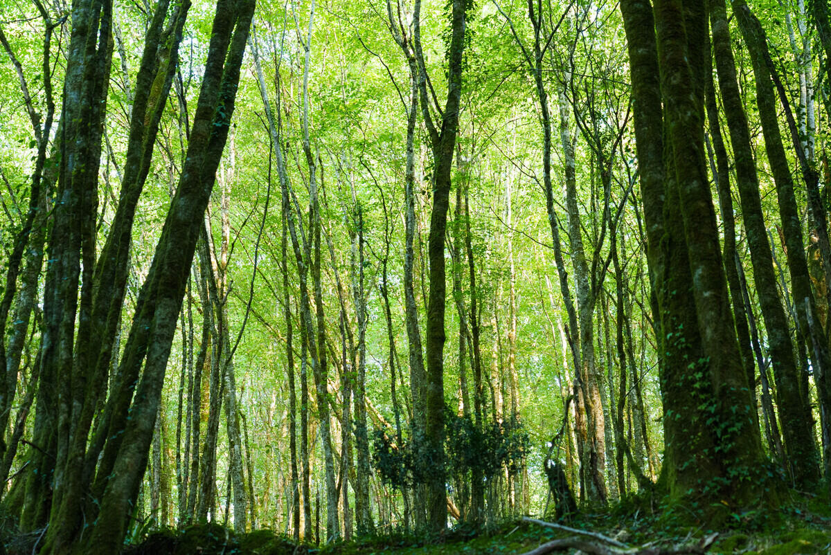 OT Vallée Vézère 2