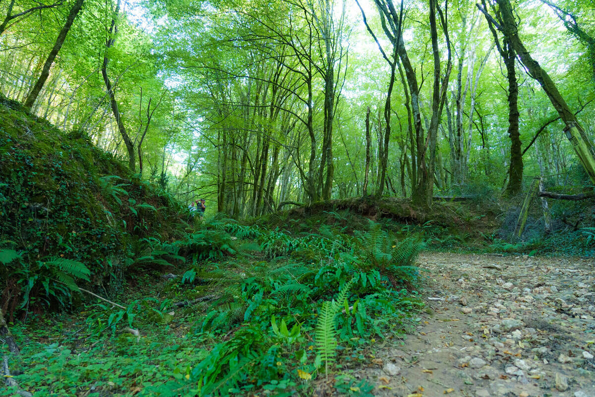 OT Vallée Vézère EyziesGorgedEnfer 9 2