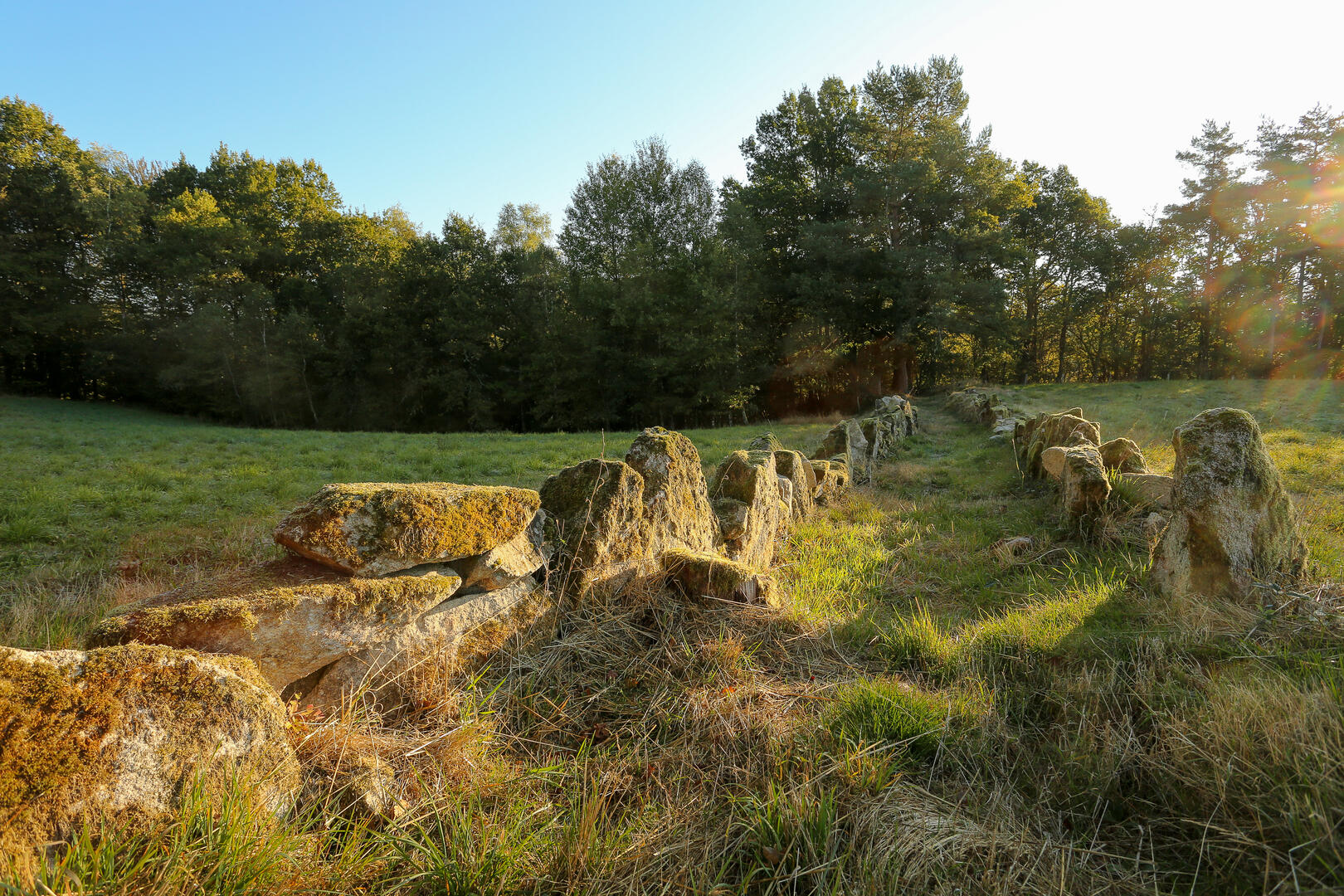 Peret_bel_air_nature-2016 (20)
