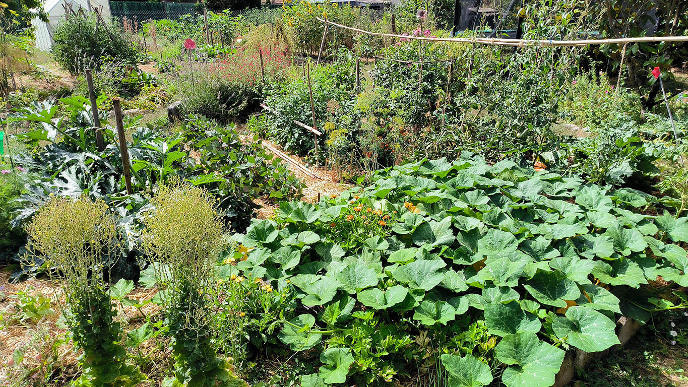 Le jardin : tout un monde à explorer ensemble !