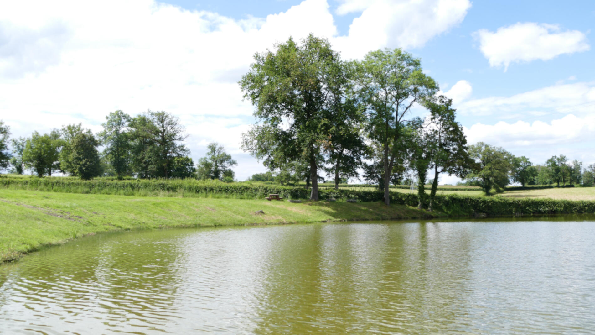 RETERRE_Étang de pêche Fonds du Mont