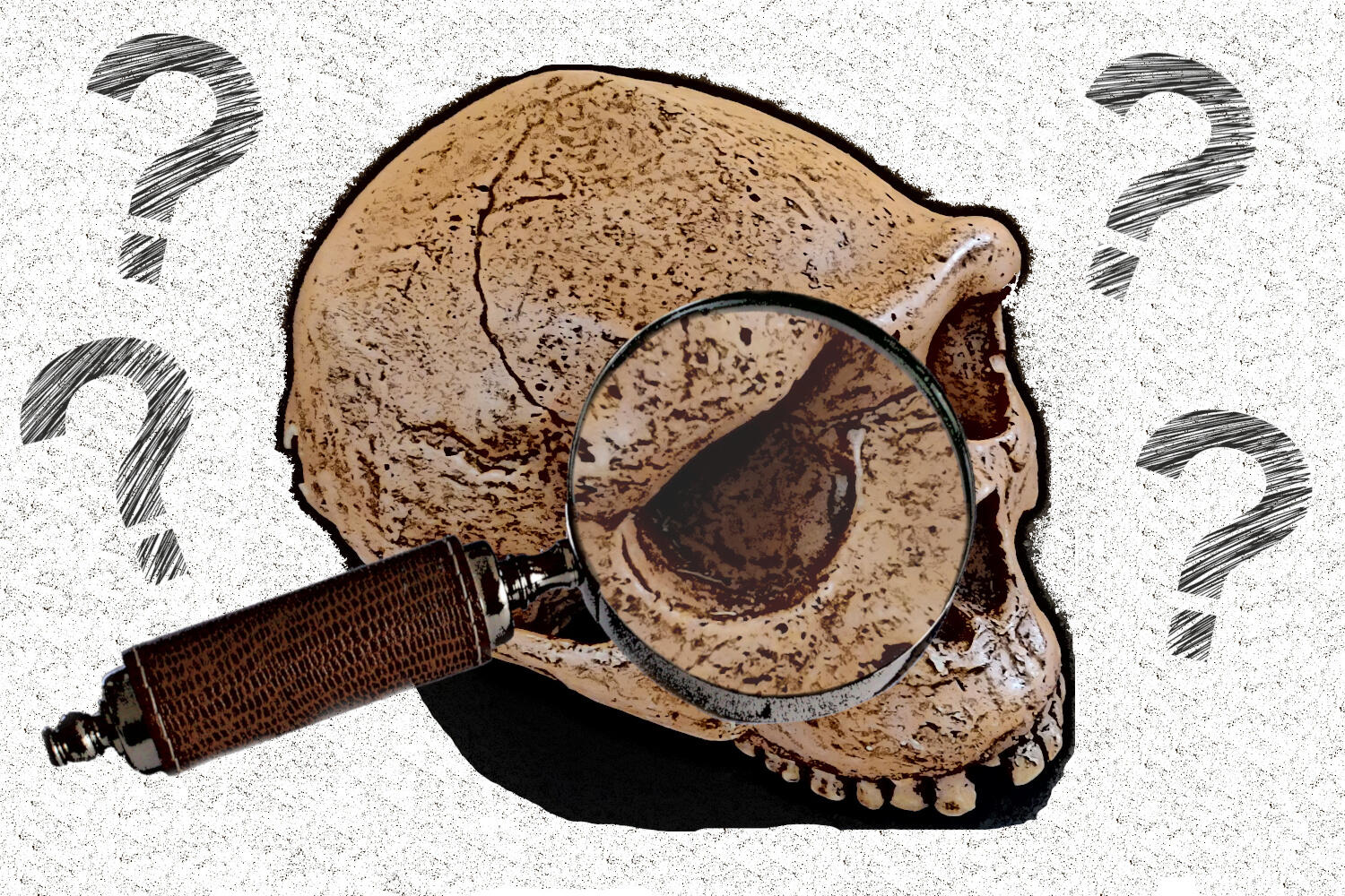 Sapiens et cie