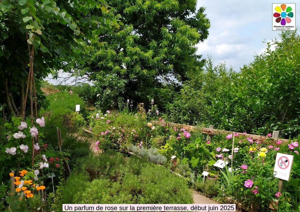 Jardin en Terrasse, juin 2025