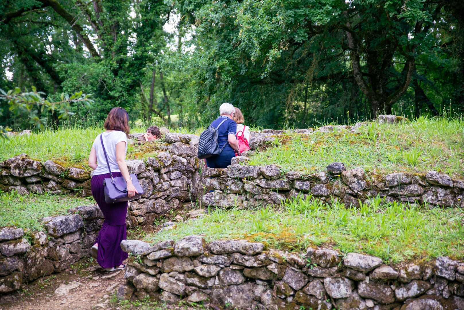 Visite des tumulus de Bougon