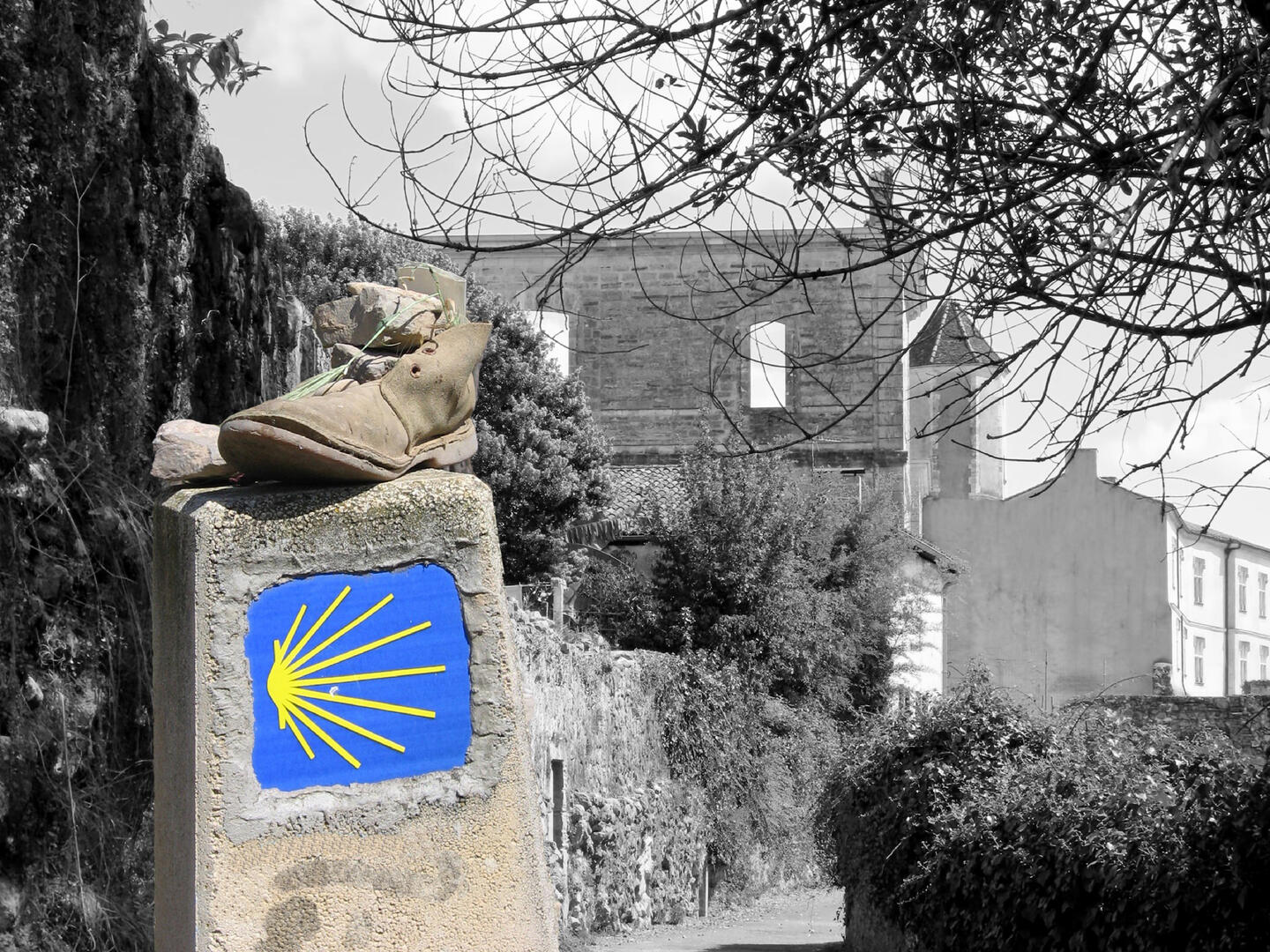 Visite Saint-Jacques