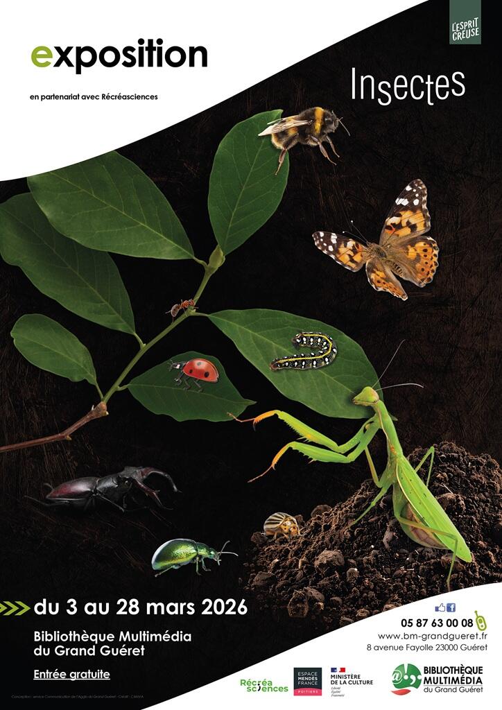 affiche_expo_insectes