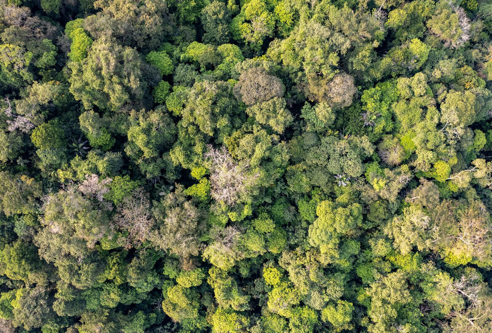 bernd-dittrich-Jsa3fCz4T10-unsplash