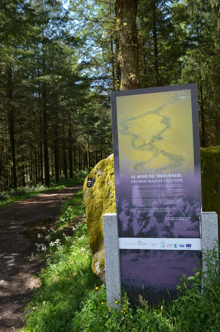 bois-du-Thouraud-Maisonnisses--2-