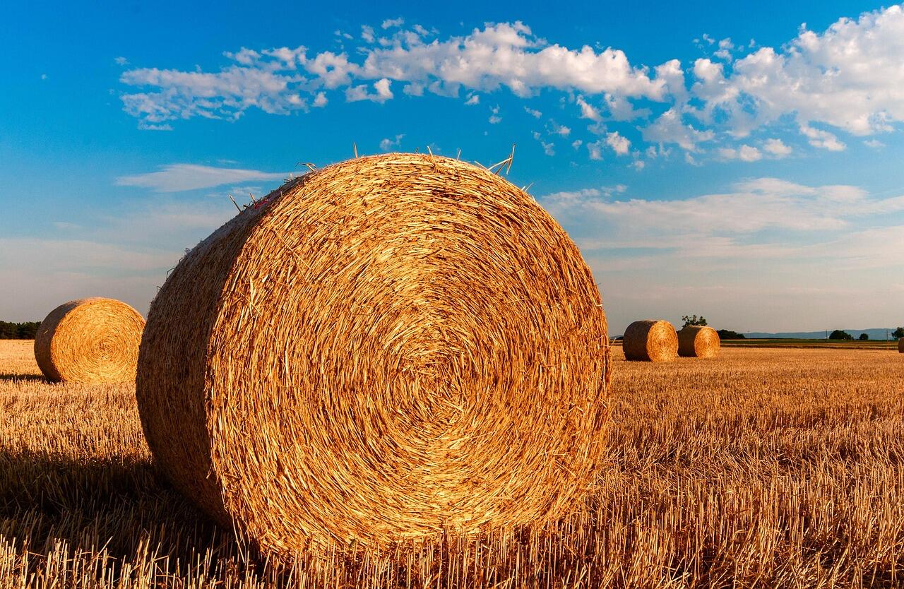 botte de paille