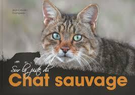 Renard et Chat Sauvage