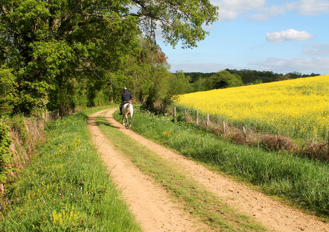 Chemin du ruisseau de la Corde à Bazelat