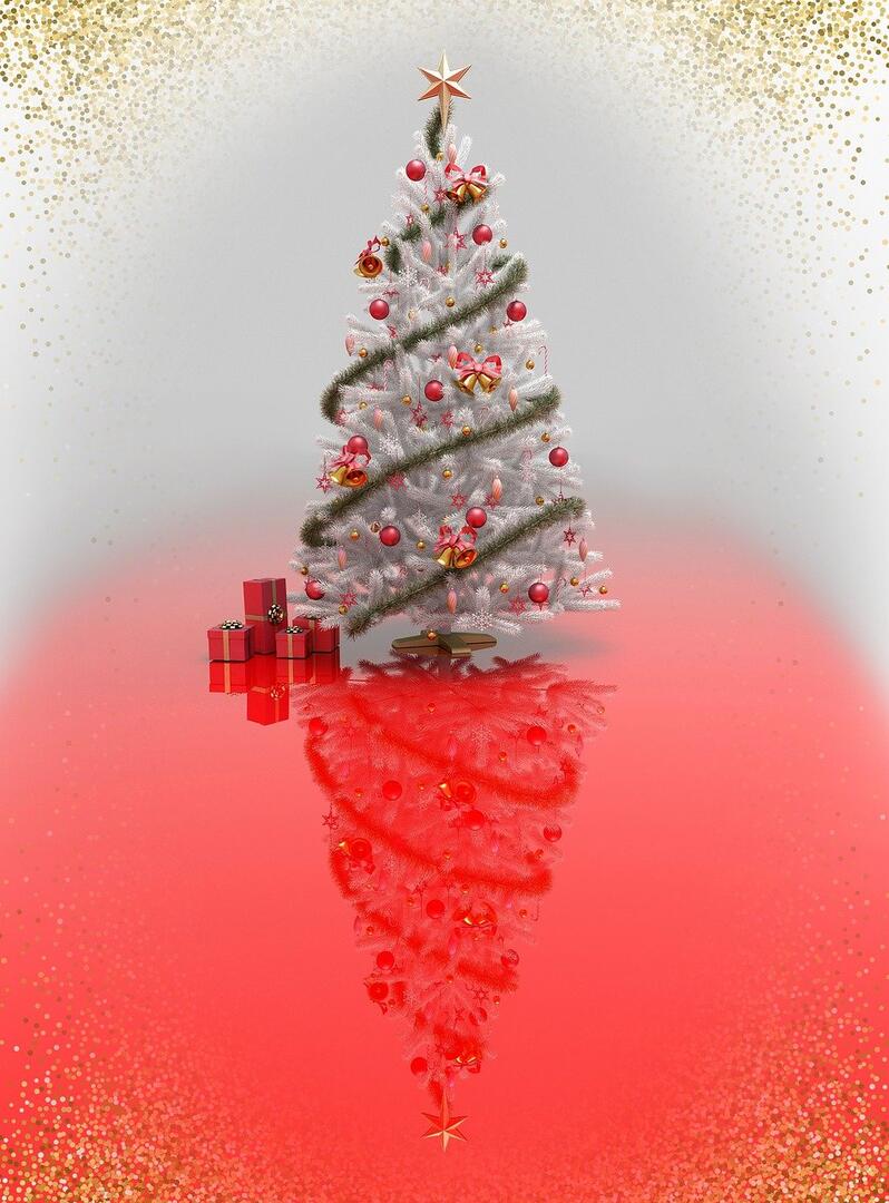 christmas-tree-4735861_1280